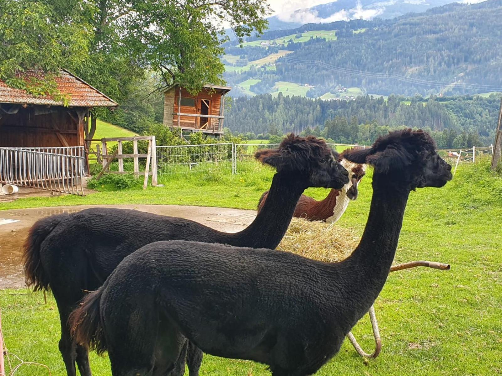 Tuschnhof Apartamento