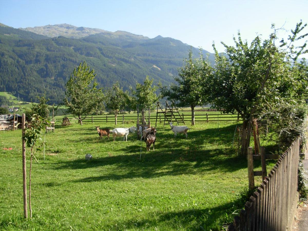 Apartamento Tuschnhof *