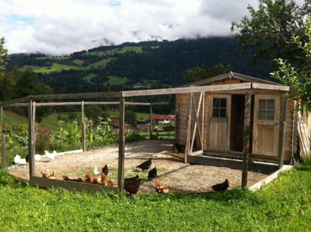 Apartment Tuschnhof *